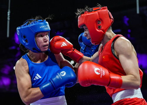 巴黎奧運(yùn)會(huì) 楊文璐晉級(jí)拳擊女子60公斤級(jí)四分之一決賽，展現(xiàn)賽事組織與競(jìng)技風(fēng)采